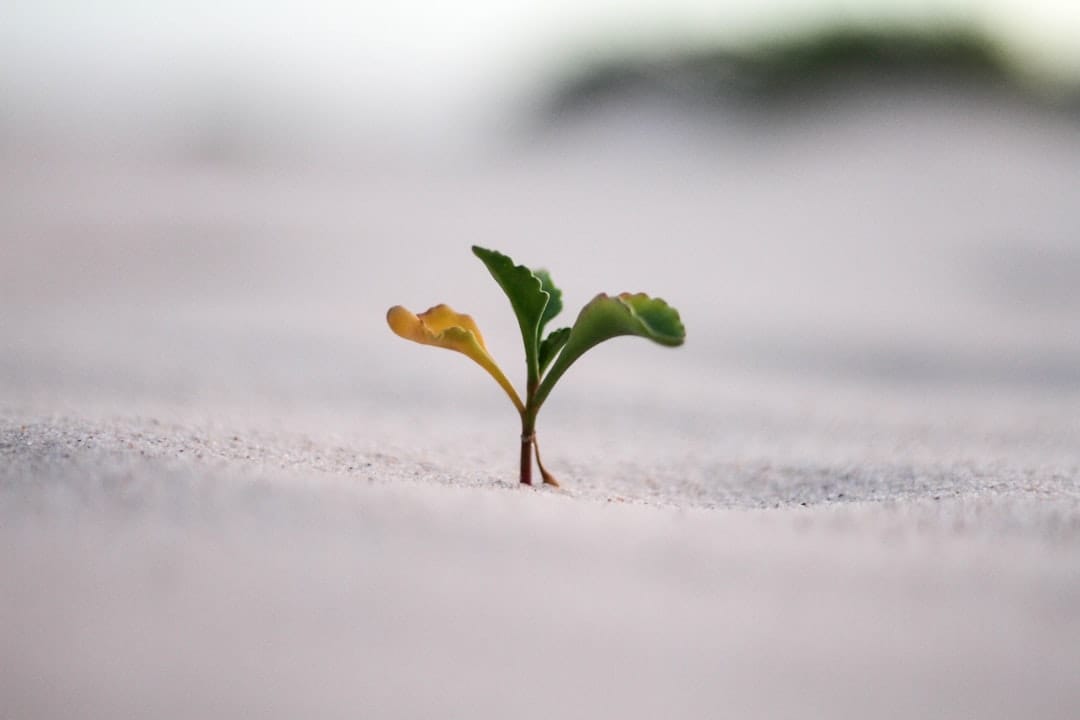 Trở thành AI Generalist: Bí quyết không bị thay thế trong thời đại AI