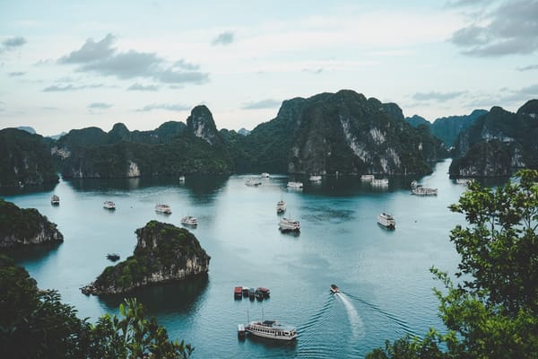 Hợp tác nông nghiệp Việt - Mỹ: Cơ hội từ chiến lược thương mại song phương